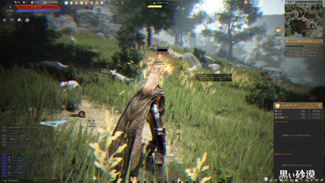 黒い砂漠のPCゲームプレイ画像